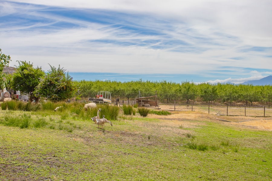 4 Bedroom Property for Sale in Paarl Rural Western Cape